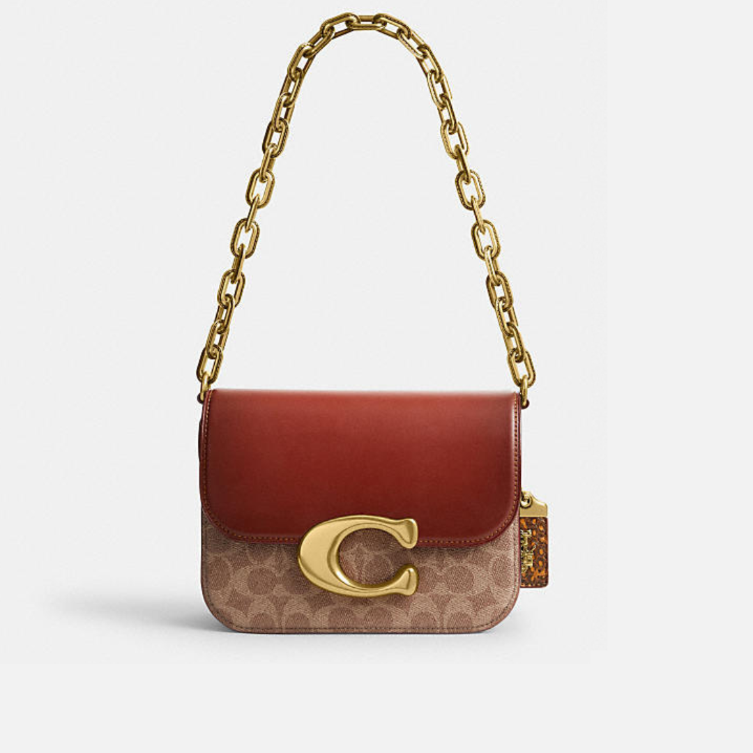 C.O.A.C.H IDOL BAG IN SIGNATURE CANVAS WITH SNAKESKIN DETAIL CROSSBODY BAG